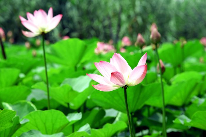 美好的一天从简单开始!_自助自驾_中国滕州微