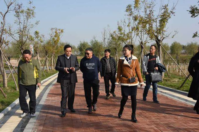 浙江萧山住建局徐晓福局长到滕州微山湖湿地考察