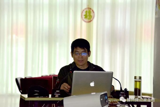 1.webp.jpg