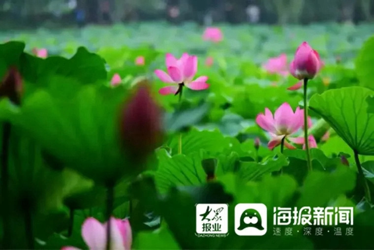 3.webp_鍓湰.jpg 3.webp_鍓湰.jpg