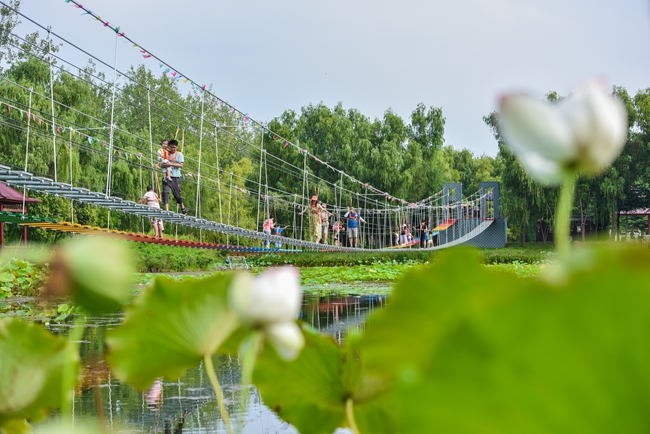 寰俊鍥剧墖_20190807083603_鍓湰.jpg